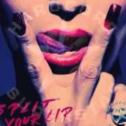 Il testo SPLIT YOUR LIP dei HARDCORE SUPERSTAR è presente anche nell'album Split your lip (2010)