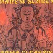 Il testo MORNING GREY dei HAREM SCAREM è presente anche nell'album Karma cleansing (1997)