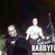 Il testo IMMOBILE di HARRY FOTTER è presente anche nell'album Anarcopiattoloni the best of the ultra rarities and studio shitness session (2009)