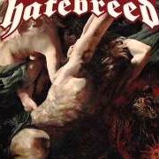 Il testo INDIVISIBLE dei HATEBREED è presente anche nell'album The divinity of purpose (2013)