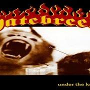 Il testo PURITAN dei HATEBREED è presente anche nell'album Under the knife (2000)