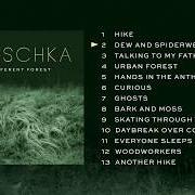 Il testo DEW AND SPIDERWEBS di HAUSCHKA è presente anche nell'album A different forest (2019)