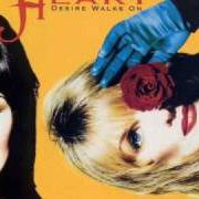 Il testo BACK TO AVALON dei HEART è presente anche nell'album Desire walks on (1993)