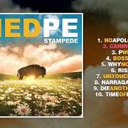 Il testo HILL dei HED PE è presente anche nell'album Hed pe (1997)