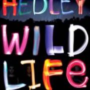 Il testo ANYTHING dei HEDLEY è presente anche nell'album Wild life (2013)