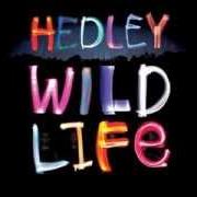 Il testo VILLIAN dei HEDLEY è presente anche nell'album Hedley (2005)