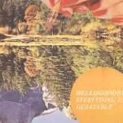 Il testo JUST DON'T LET GO JUST DON'T di HELLOGOODBYE è presente anche nell'album Everything is debatable (2013)