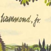 Il testo BLUE SKIES di ALBERT HAMMOND JR. è presente anche nell'album Yours to keep (2006)