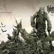Il testo RUMORS OF WAR dei HIGH ON FIRE è presente anche nell'album Death is this communion (2007)