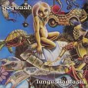 Il testo WILLIE THE REBEL dei HOGWASH è presente anche nell'album Fungus fantasia (1997)
