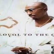 Il testo DON'T YOU TRUST ME? di 2PAC è presente anche nell'album Loyal to the game (2004)