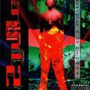 Il testo PEEP GAME di 2PAC è presente anche nell'album Strictly 4 my n.I.G.G.A.Z. (1993)