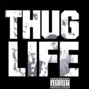 Il testo 2 OF AMERIKAZ MOST WANTED di 2PAC è presente anche nell'album The best of 2pac - part 1: thug (2007)