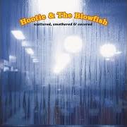 Il testo RENAISSANCE EYES dei HOOTIE AND THE BLOWFISH è presente anche nell'album Scattered, smothered & covered (2000)