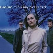 Il testo VINEGAR & SALT dei HOOVERPHONIC è presente anche nell'album The magnificent tree (2000)