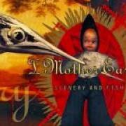 Il testo HELLO DAVE! de I MOTHER EARTH è presente anche nell'album Scenery and fish (1996)