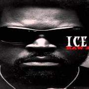 Il testo HOOD MENTALITY di ICE CUBE è presente anche nell'album Raw footage (2008)