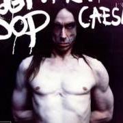 Il testo SICKNESS di IGGY POP è presente anche nell'album American caesar (1993)