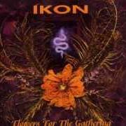 Il testo INTO YOUR MADNESS degli IKON è presente anche nell'album Flowers for the gathering (1997)