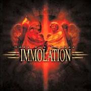 Il testo DEN OF THIEVES degli IMMOLATION è presente anche nell'album Hope and horror - ep (2007)