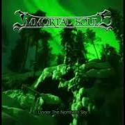 Il testo SNOWFALLS degli IMMORTAL SOULS è presente anche nell'album Once upon a time in the north (2005)