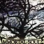 Il testo MAN OF SORROW degli IMMORTAL SOULS è presente anche nell'album Ice upon the night (2003)