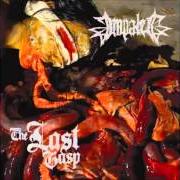 Il testo RIGHT TO DIE degli IMPALED è presente anche nell'album The last grasp (2007)