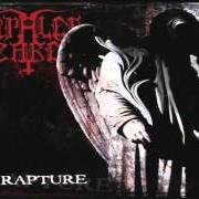 Il testo JCS degli IMPALED NAZARENE è presente anche nell'album Rapture (1998)