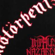 Il testo ALKOHOL degli IMPALED NAZARENE è presente anche nell'album Motorpenis (1996)