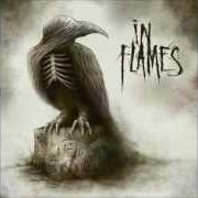 Il testo LIBERATION degli IN FLAMES è presente anche nell'album Sounds of a playground fading (2011)