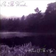 Il testo YEARNING THE SEEDS OF A NEW DIMENSION di IN THE WOODS... è presente anche nell'album Heart of ages (1995)