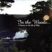 Il testo THE WINGS OF MY DREAMLAND di IN THE WOODS... è presente anche nell'album Isle of man (1994)