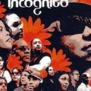 Il testo DON'T YOU WORRY BOUT A THING degli INCOGNITO è presente anche nell'album Let the music play (2005)