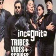 Il testo DON'T YOU WORRY BOUT A THING degli INCOGNITO è presente anche nell'album Tribes, vibes and scribes (1992)