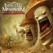 Il testo SEND ME AN ANGEL degli INFECTED MUSHROOM è presente anche nell'album Army of mushrooms (2012)