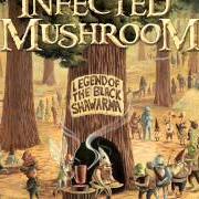 Il testo SMASHING THE OPPONENT degli INFECTED MUSHROOM è presente anche nell'album Legend of the black shawarma (2009)