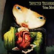 Il testo BEFORE degli INFECTED MUSHROOM è presente anche nell'album Vicious delicious (2007)