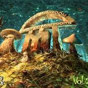 Il testo TRANCE PARTY degli INFECTED MUSHROOM è presente anche nell'album Friends on mushrooms, vol. 2 (2013)