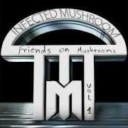 Il testo WHERE DO I BELONG degli INFECTED MUSHROOM è presente anche nell'album Friends on mushrooms, vol. 1 (2013)