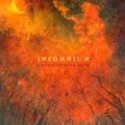 Il testo LAST STATEMENT degli INSOMNIUM è presente anche nell'album Above the weeping world (2006)