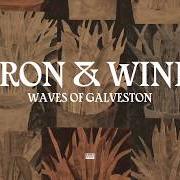 Il testo LAST OF YOUR ROCK 'N' ROLL HEROES di IRON & WINE è presente anche nell'album Weed garden (2018)