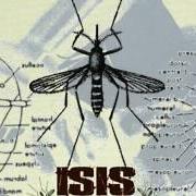 Il testo RELOCATION SWARM degli ISIS è presente anche nell'album Mosquito control (1998)