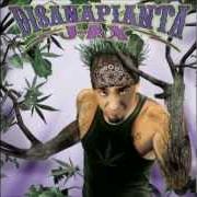 Il testo TI AMO O TI AMMAZZO di J AX è presente anche nell'album Di sana pianta (2006)