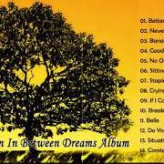 Il testo IF I COULD dei JACK JOHNSON è presente anche nell'album In between dreams (bonus track version) (2005)
