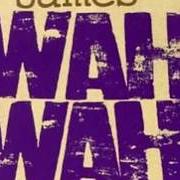 Il testo MARIA dei JAMES è presente anche nell'album Wah wah (1994)