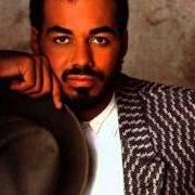 Il testo PARTY ANIMAL di JAMES INGRAM è presente anche nell'album It's your night (1983)