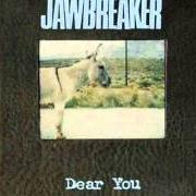 Il testo SISTER dei JAWBREAKER è presente anche nell'album Dear you (1995)