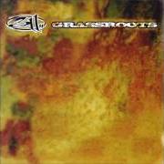 Il testo APPLIED SCIENCE dei 311 è presente anche nell'album Grassroots (1994)
