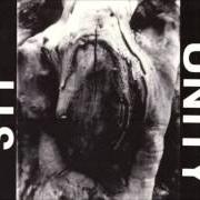 Il testo C.U.T.M. dei 311 è presente anche nell'album Unity (1991)