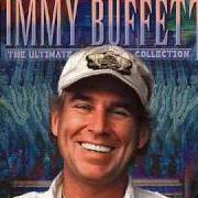 Il testo IN THE CITY di JIMMY BUFFETT è presente anche nell'album Feeding frenzy (1990)